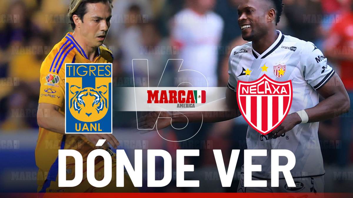 Tigres vs Necaxa: dónde ver la Vuelta Cuartos de Final de Liga MX y ...