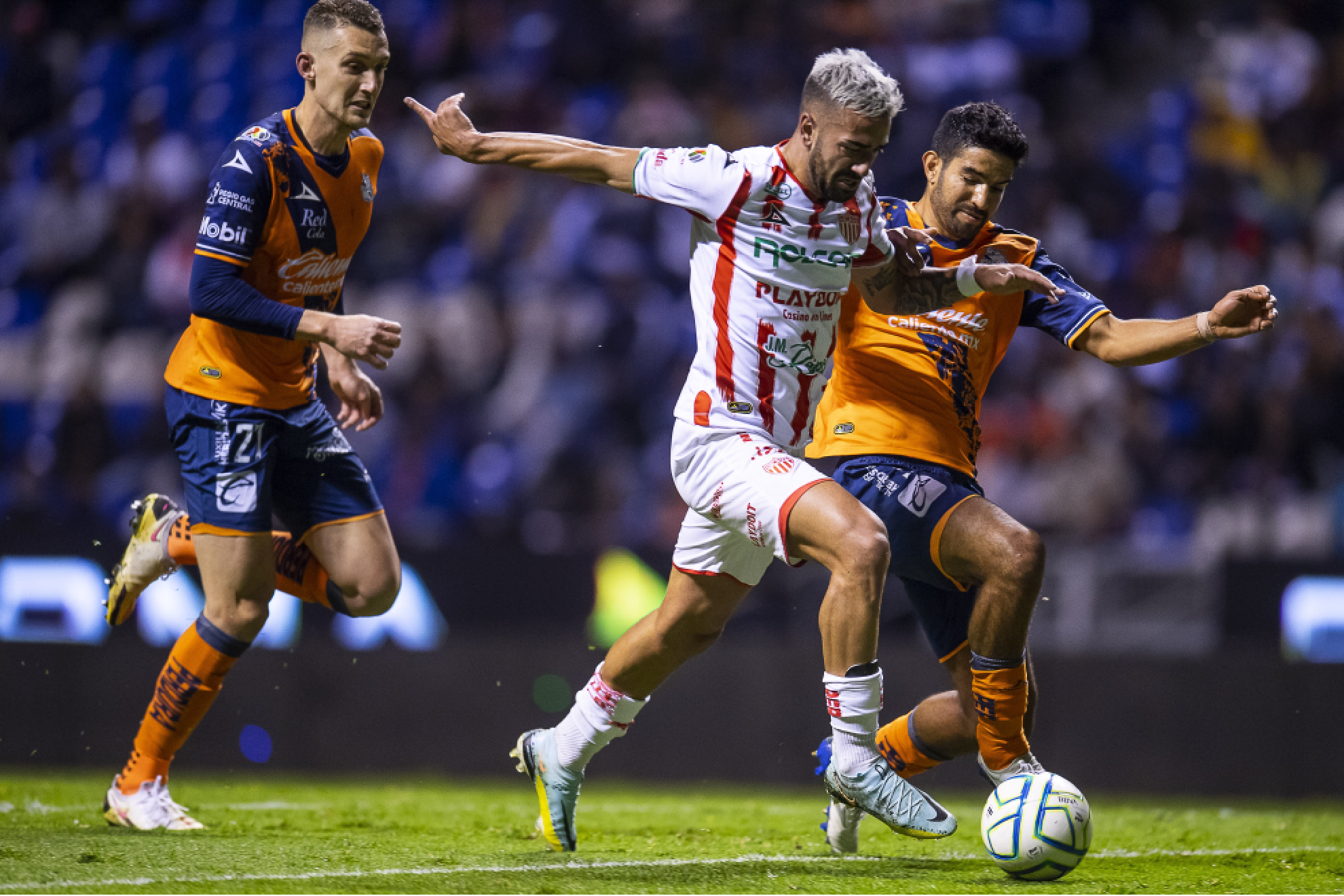 Necaxa vs Puebla: Guía completa para ver el partido en vivo, horario y canales de TV