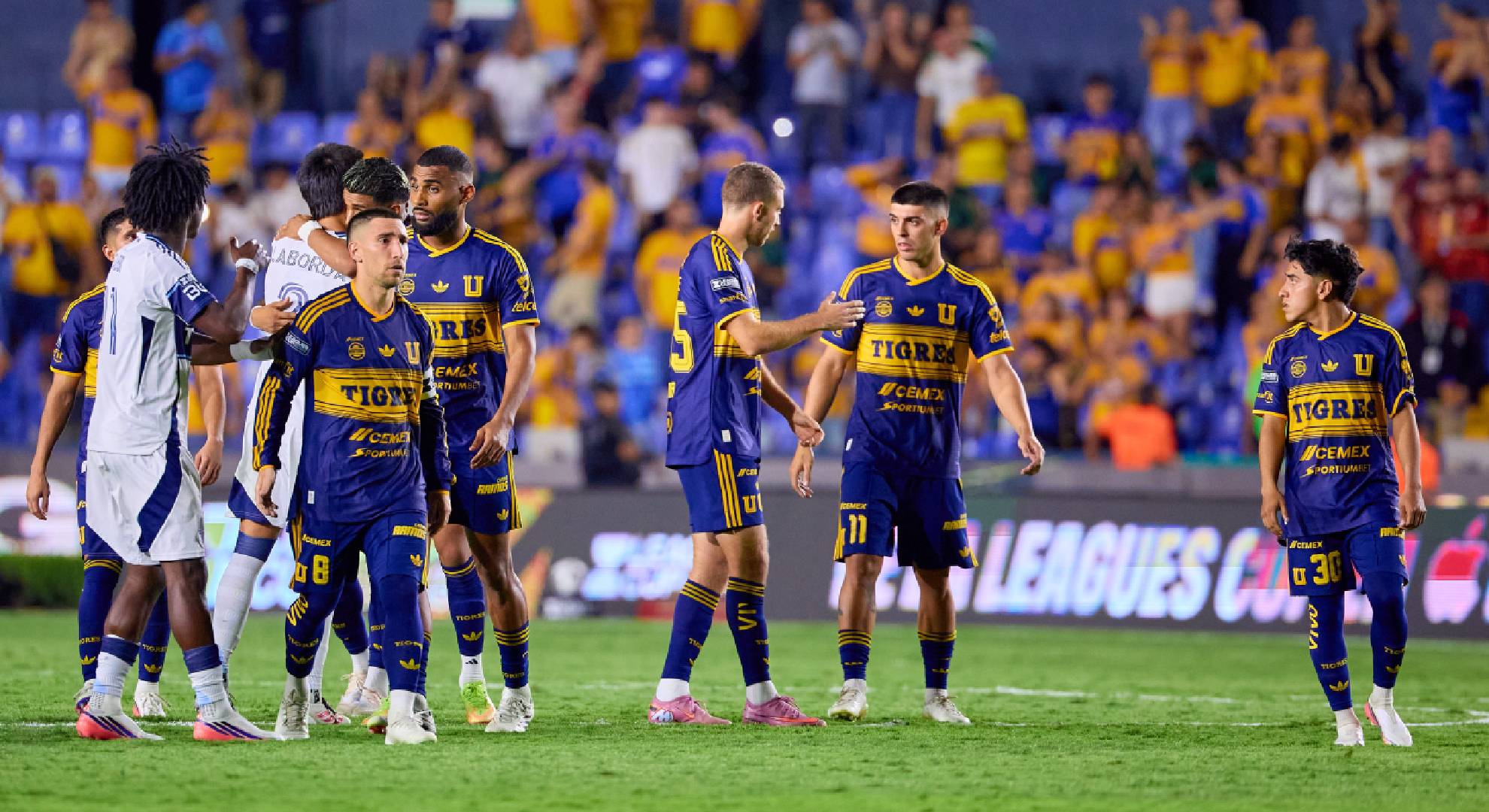 Tigres / Mexsport
