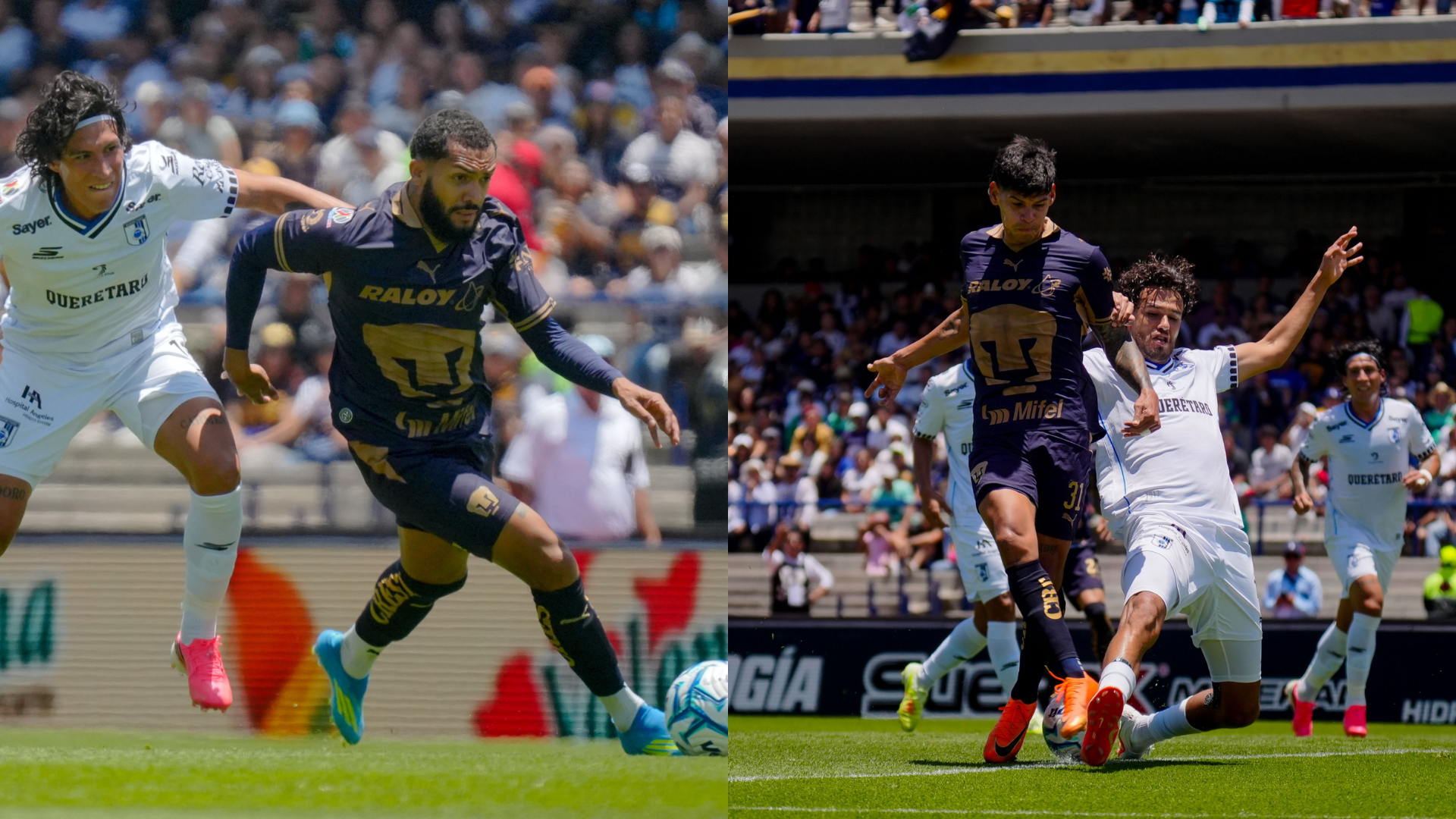 Los Pumas recibieron a Gallos Blancos. / ESPECIAL