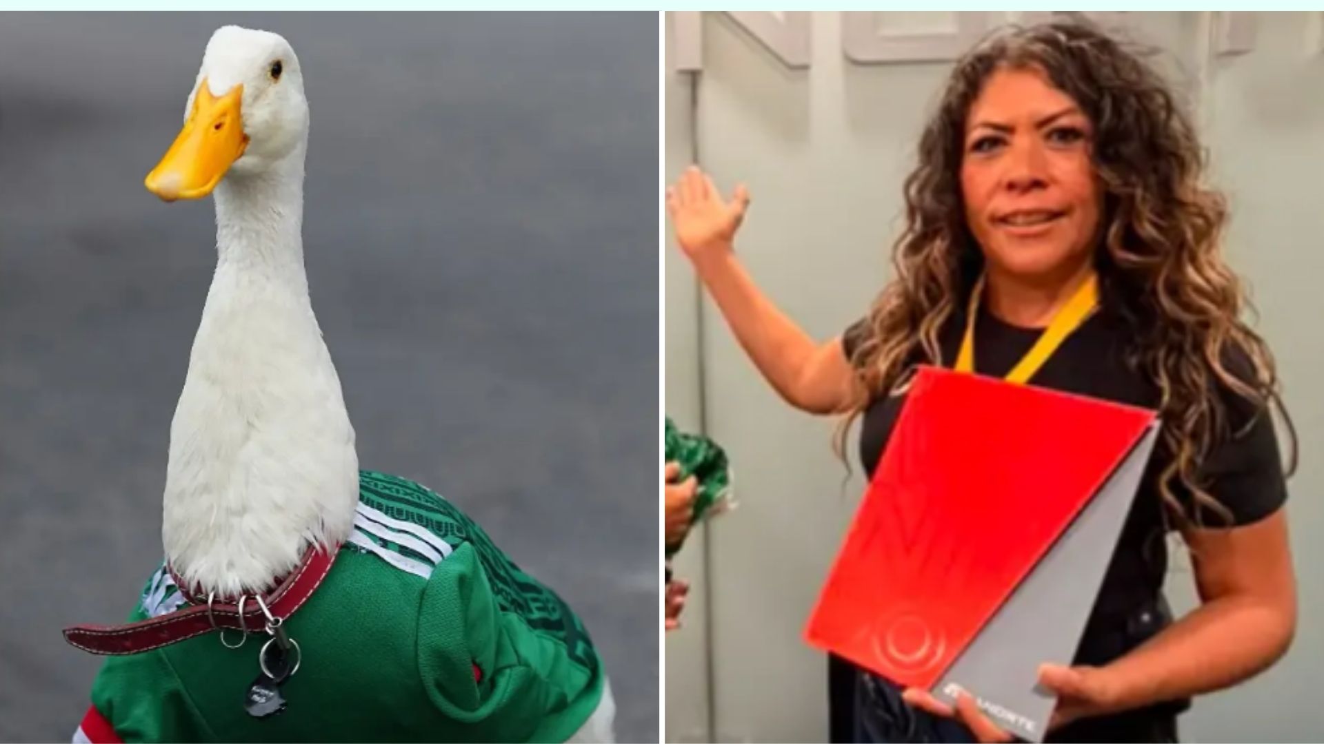 Qué es el wiccanismo: La religión que practica la dueña del Pato Merlín Instagram: soyelpatomerlin