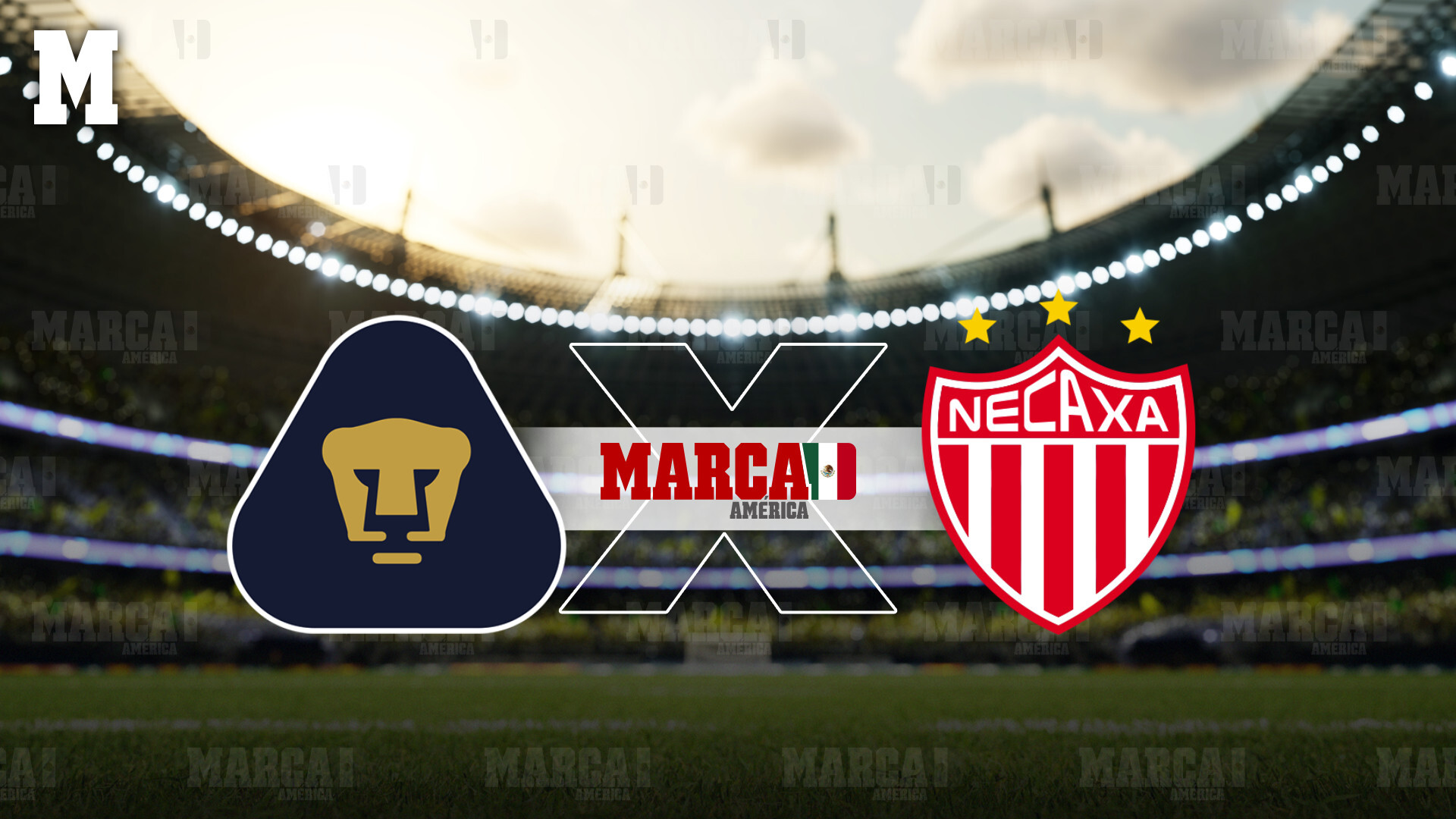 Pumas y Necaxa se enfrentan este domingo. / ESPECIAL