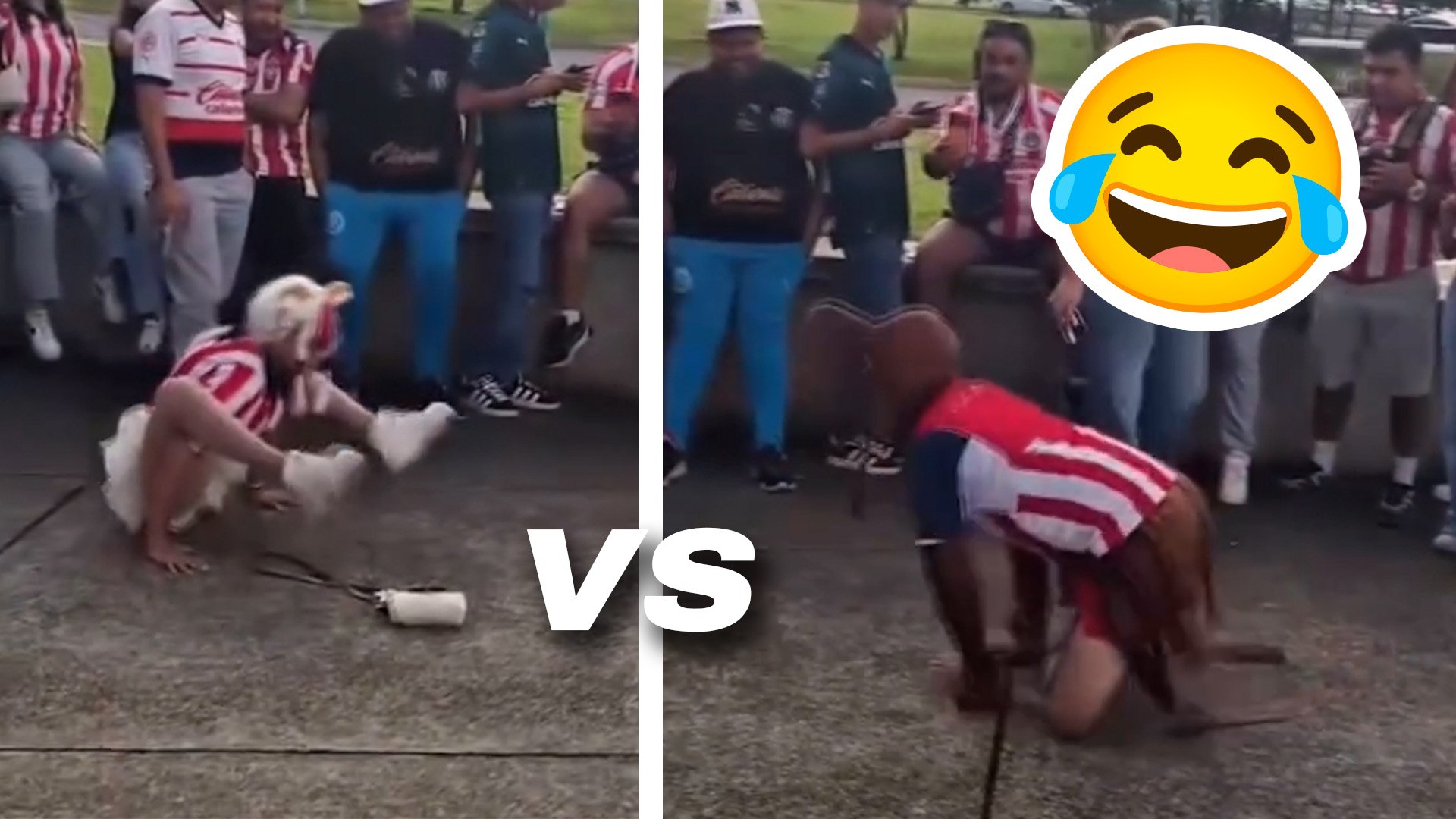 El Akron tuvo un toque distinto con aficionados rojiblancos protagonizando una “batalla de aura”. Los Chivahermanos encendieron el ambiente antes del enfrentamiento entre Guadalajara y Xolos. X