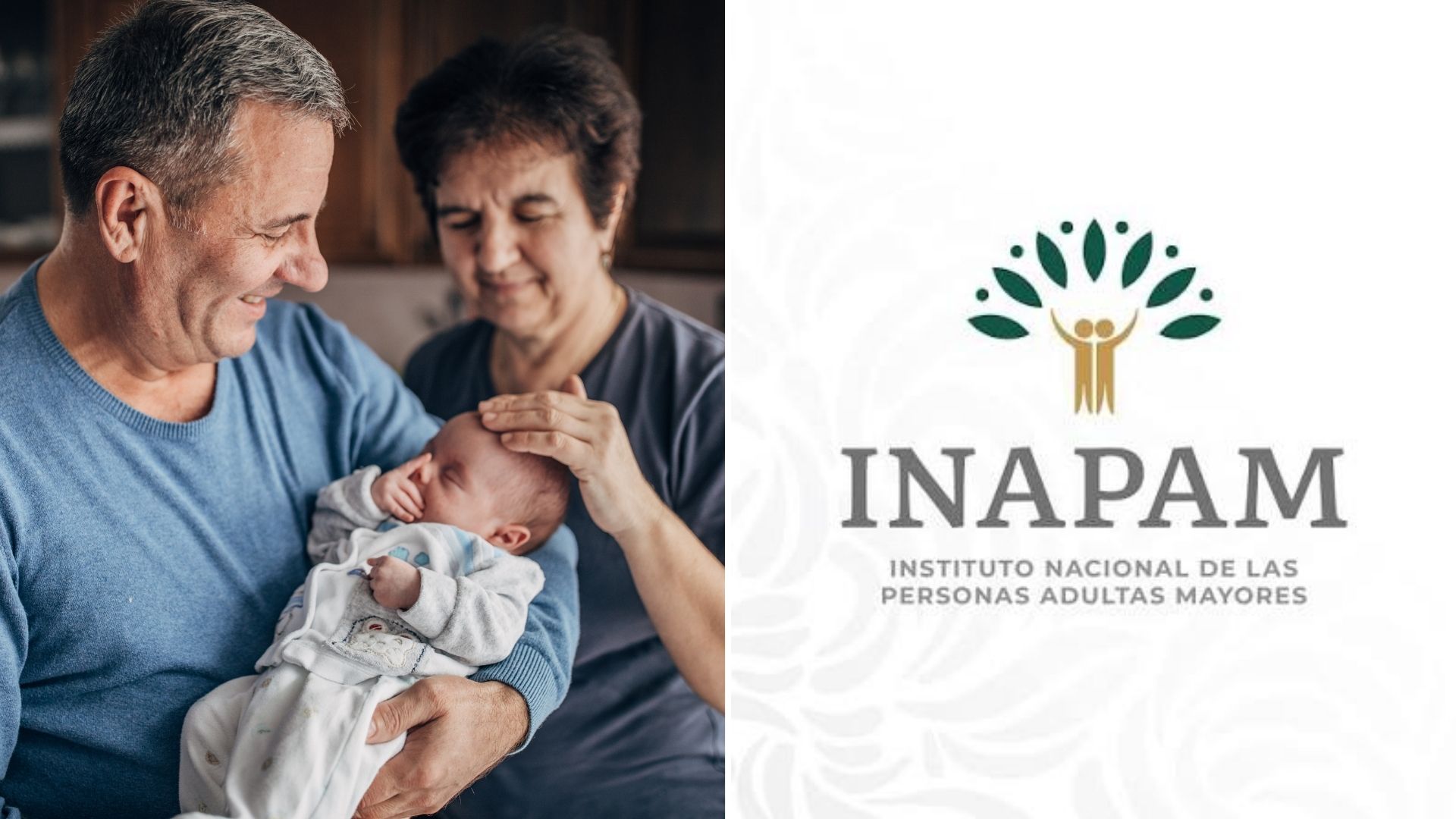 Día del Abuelo 2026: Estos son los descuentos INAPAM que puedes aprovechar con tu credencial / ESPECIAL