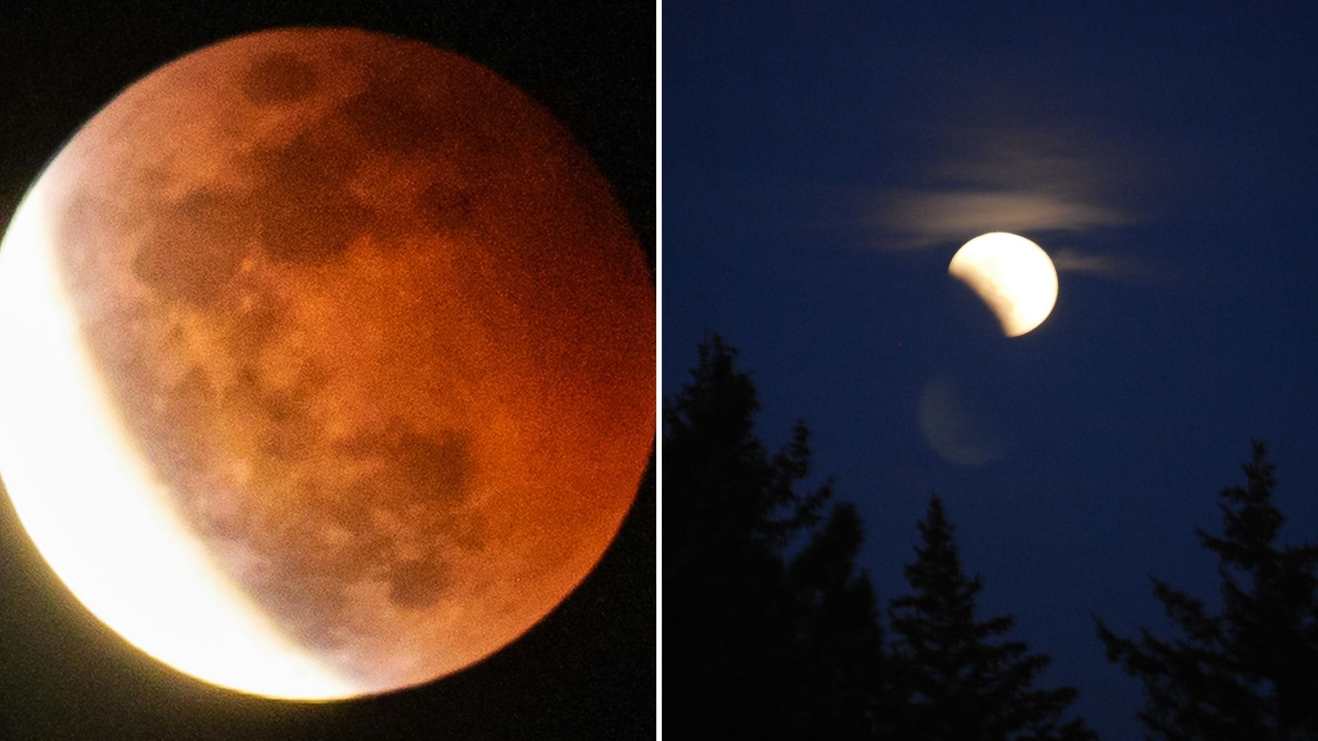 ¿El eclipse de hoy se verá en México? Lugares donde será visible la Luna de Sangre / ESPECIAL