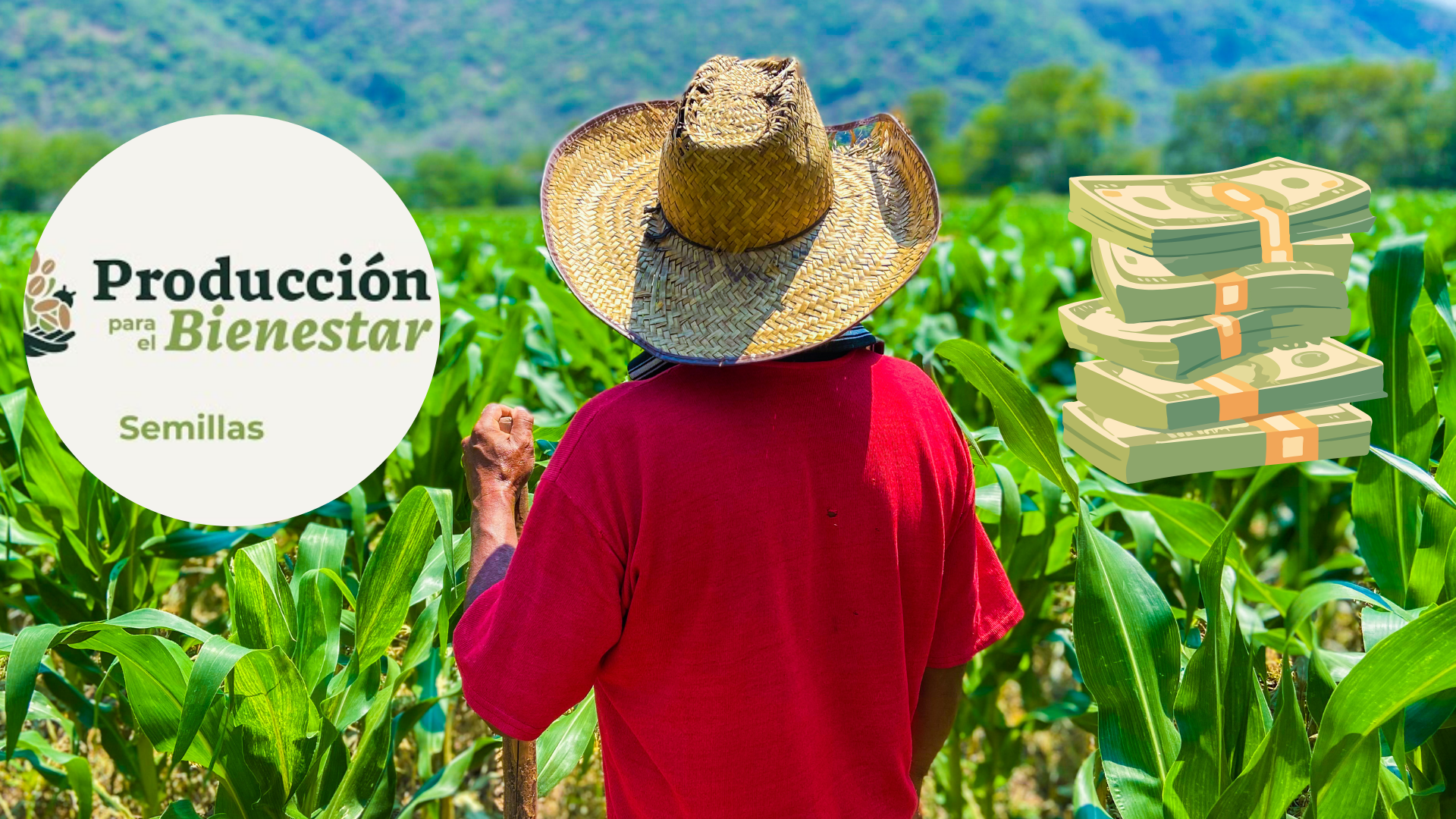 Esto se sabe del pago de Producción para el Bienestar. / ESPECIAL
