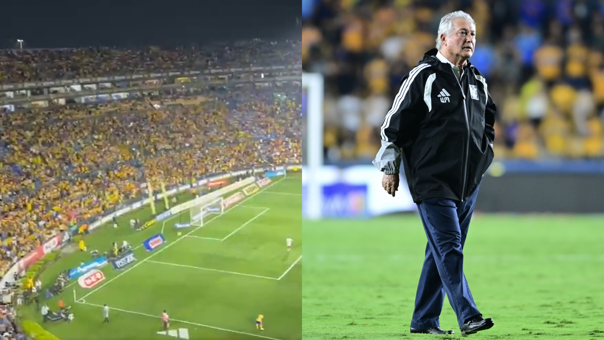 Víctor Manuel Vucetich