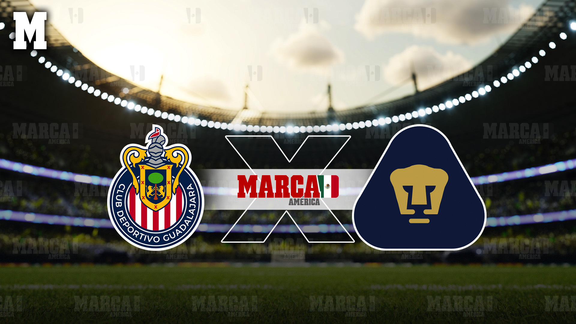 Chivas y Pumas se enfrentan este domingo. / ESPECIAL