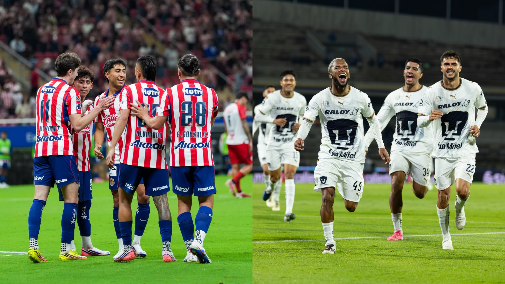 Chivas y Pumas se enfrentan este domingo. / ESPECIAL