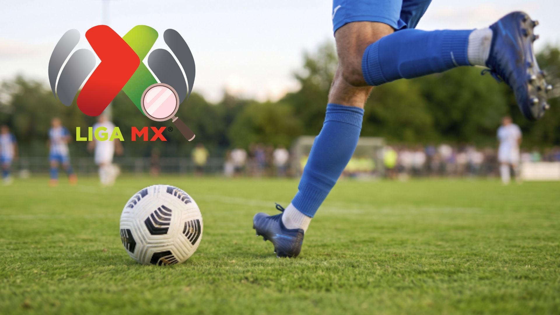 La autoridad mexicana puso bajo revisión las condiciones de afiliación, organización y acceso a las competencias del futbol profesional. / ESPECIAL GOBMX