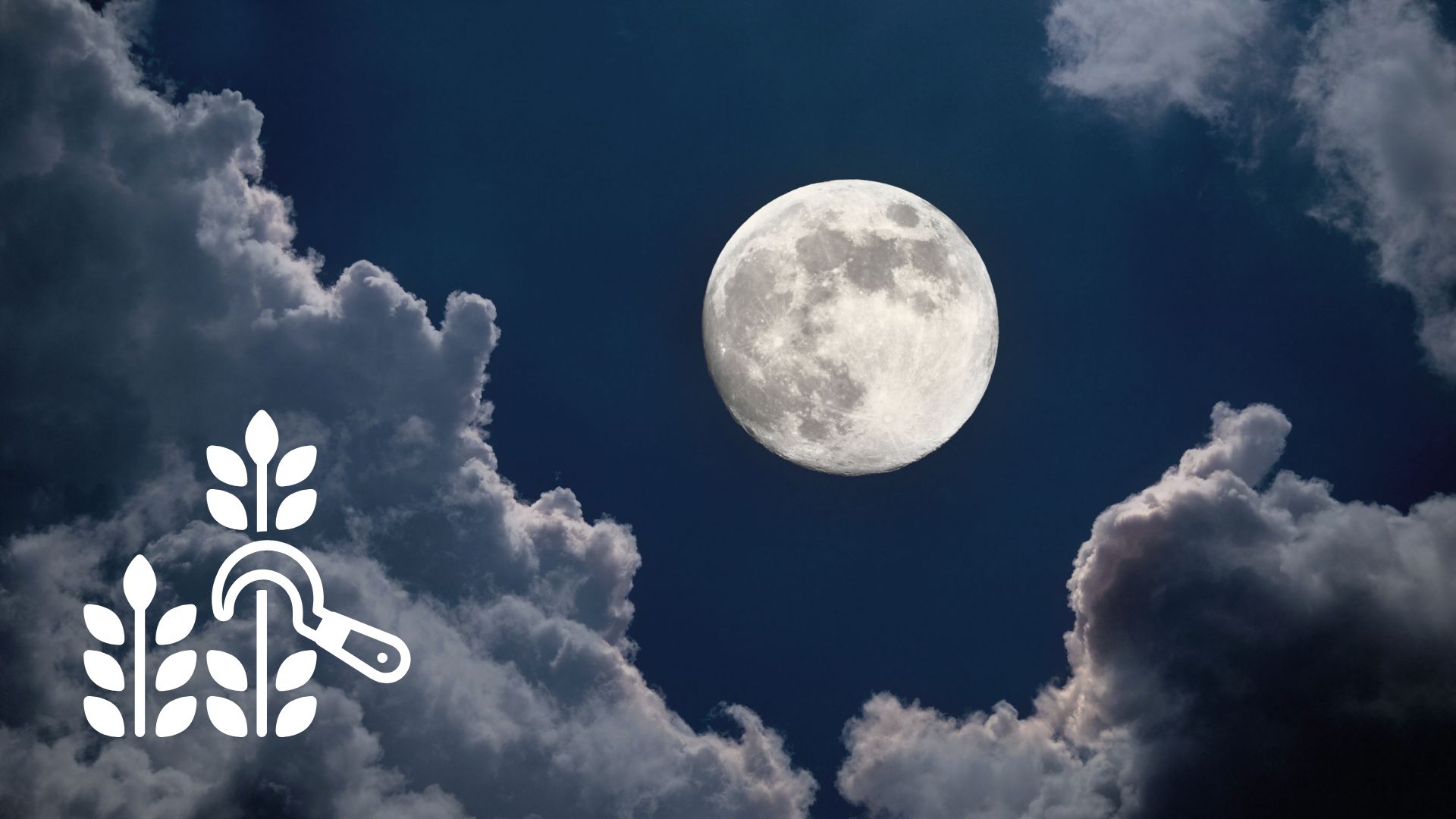 La última luna llena de septiembre iluminará el cielo mexicano este fin de semana y llegará acompañada por otros protagonistas del Sistema Solar. / ESPECIAL @gettysignature