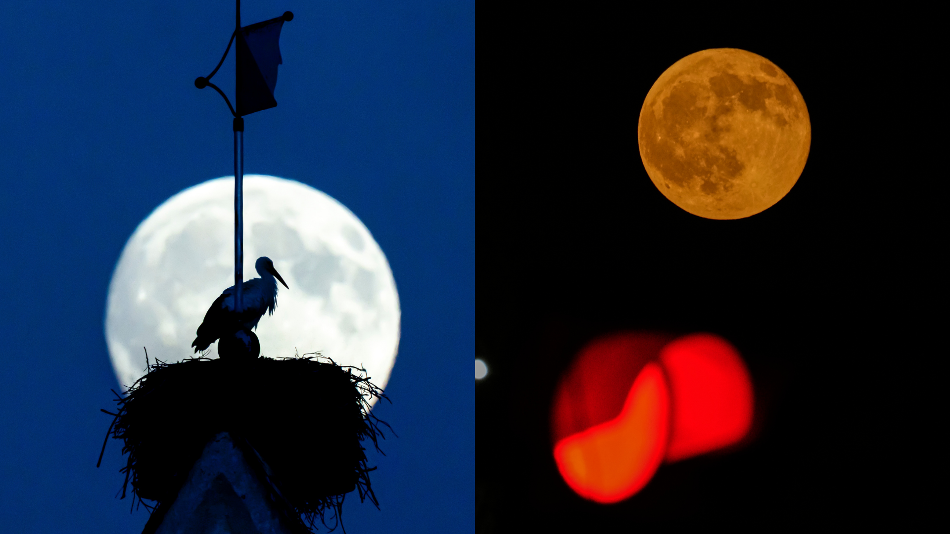 ¿A qué hora es la luna llena hoy y dónde ver su punto máximo en septiembre 2026? /LAPRESSE