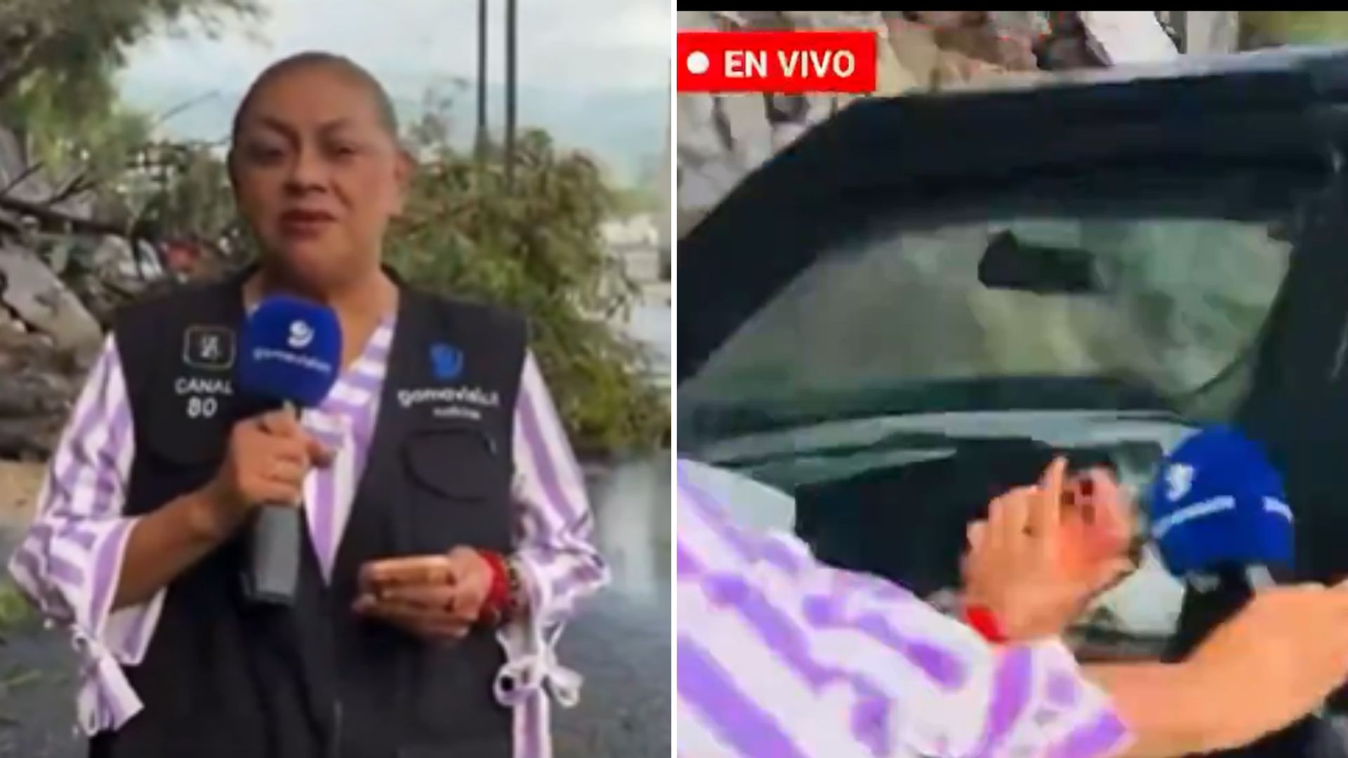¿Cuál es el estado de Alma de la Rosa Flores, reportera que sobrevivió a un accidente en NL? / Capturas de X