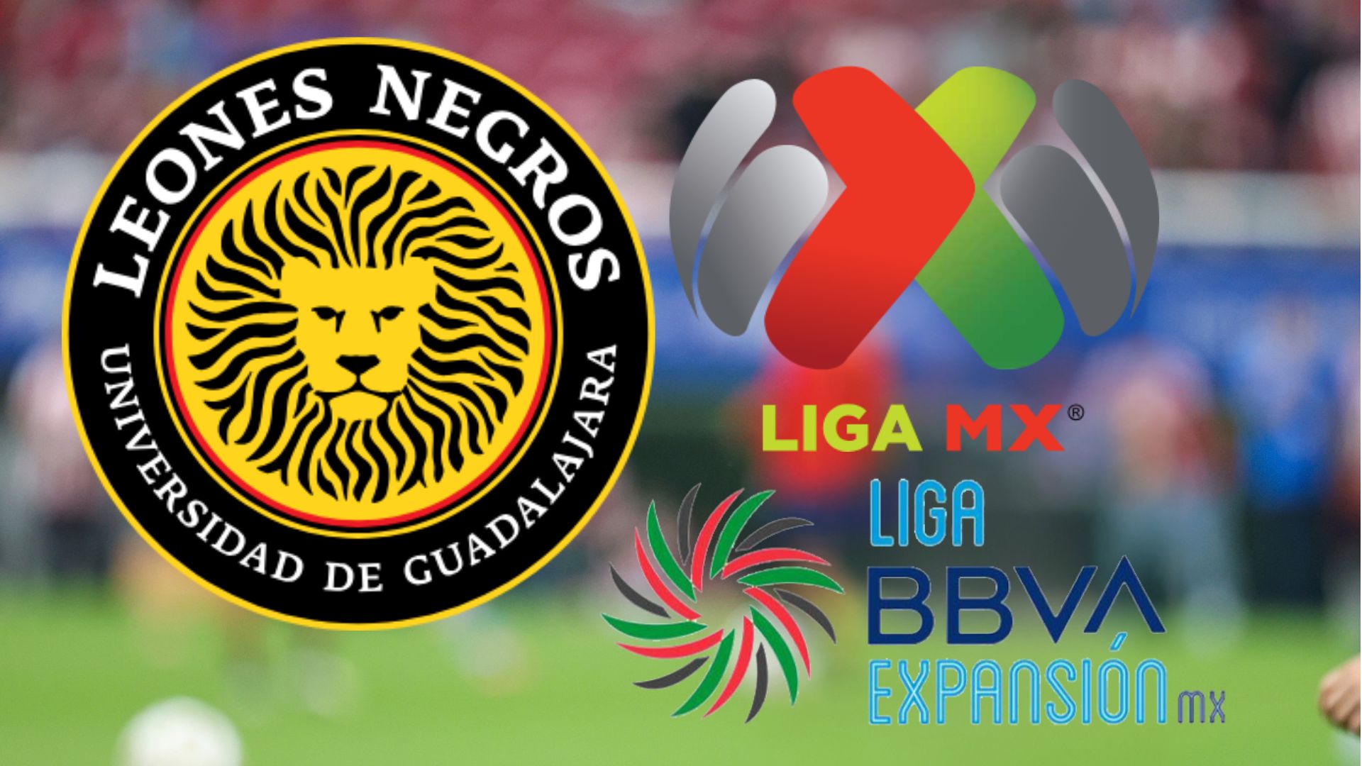 Una versión sobre el futuro del futbol mexicano apunta a que la Liga MX podría aumentar de 18 a 20 equipos para el Apertura 2030. / ESPECIAL