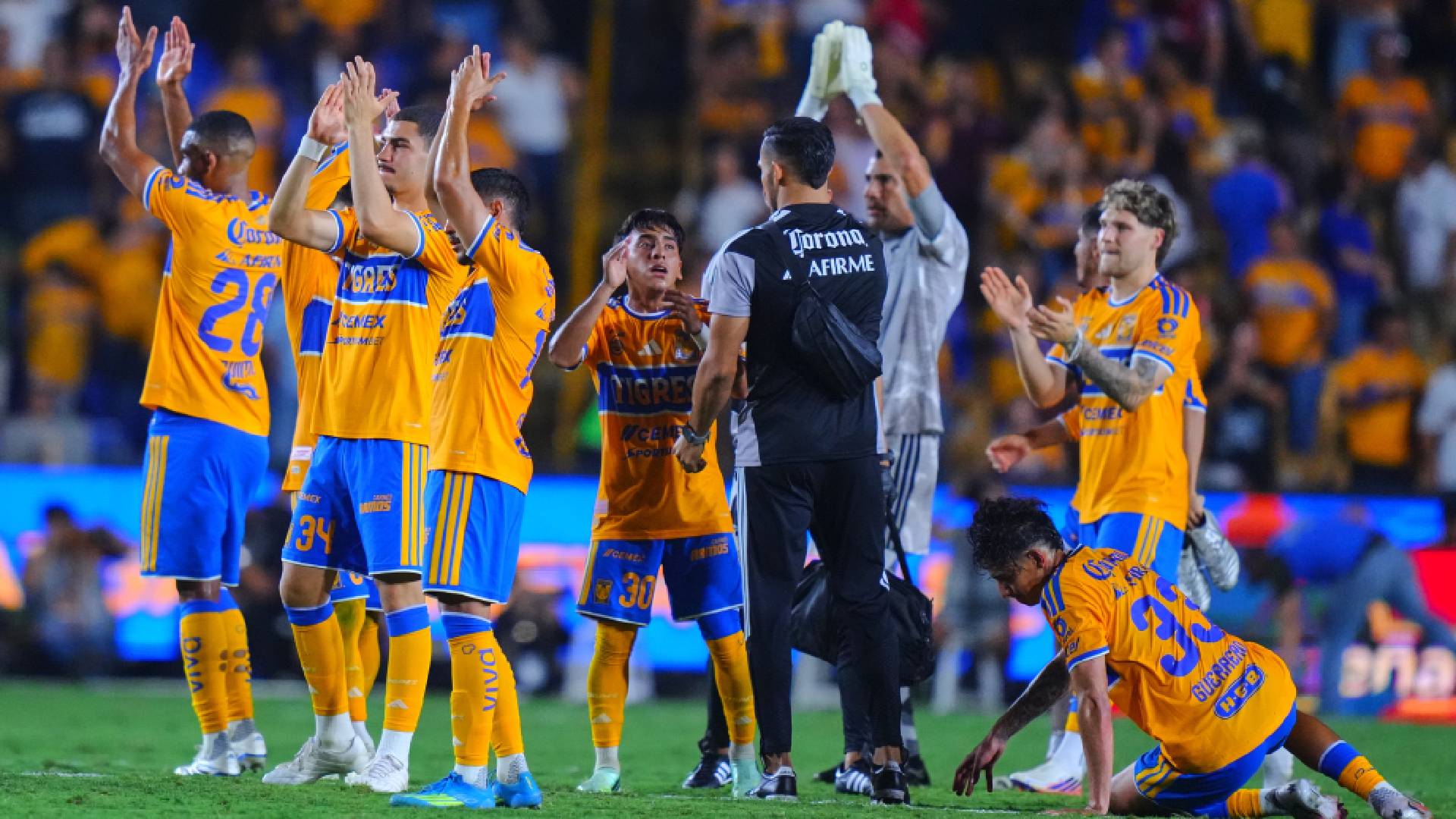 Tigres / Mexsport