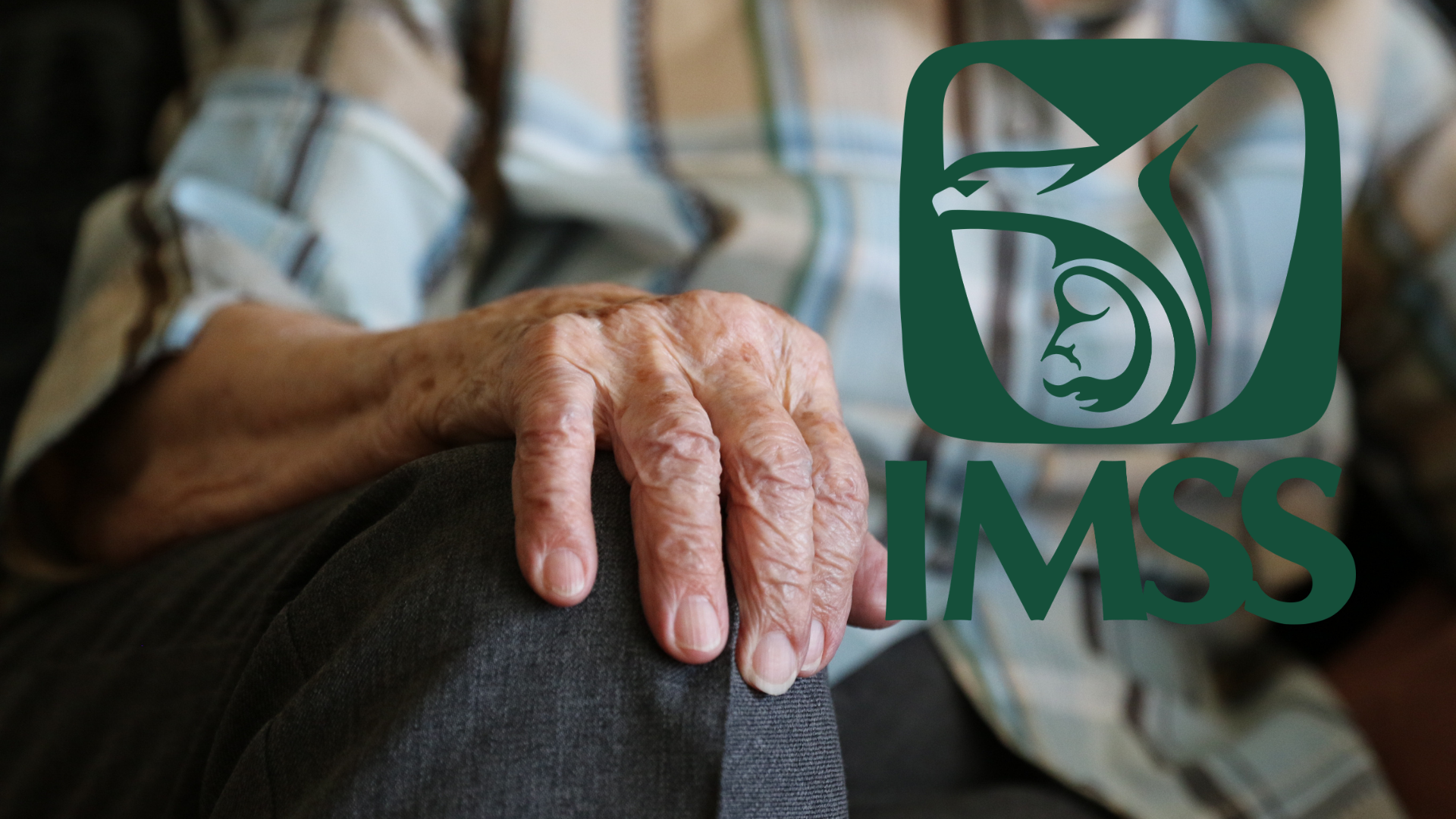 La Credencial Blanca del IMSS está dirigida a jubilados. / ESPECIAL