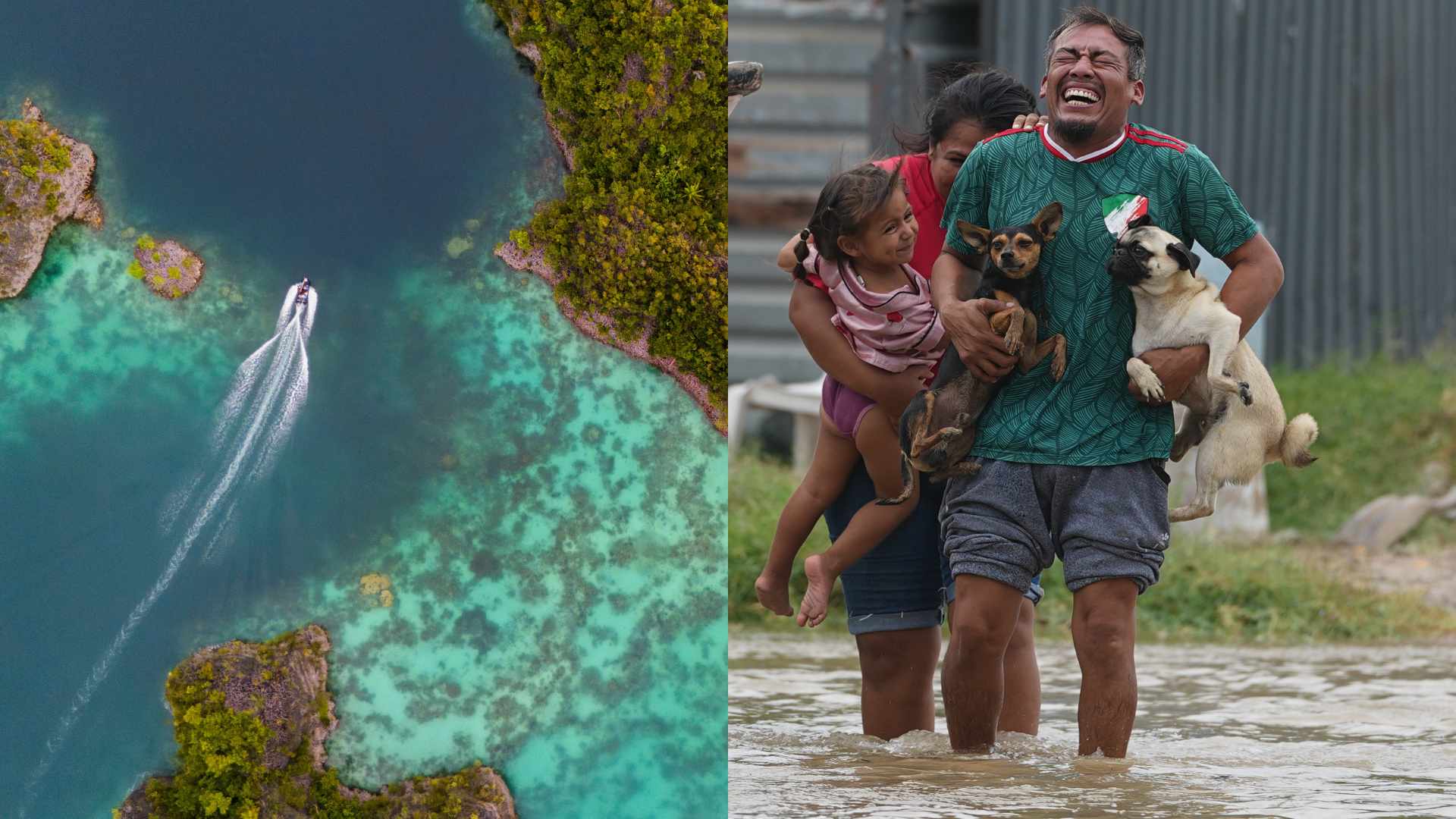 En las islas de México eliminaron 60 poblaciones invasoras de 11 especies; el objetivo era salvar especies únicas y la ONU reconoció el logro /LAPRESSE