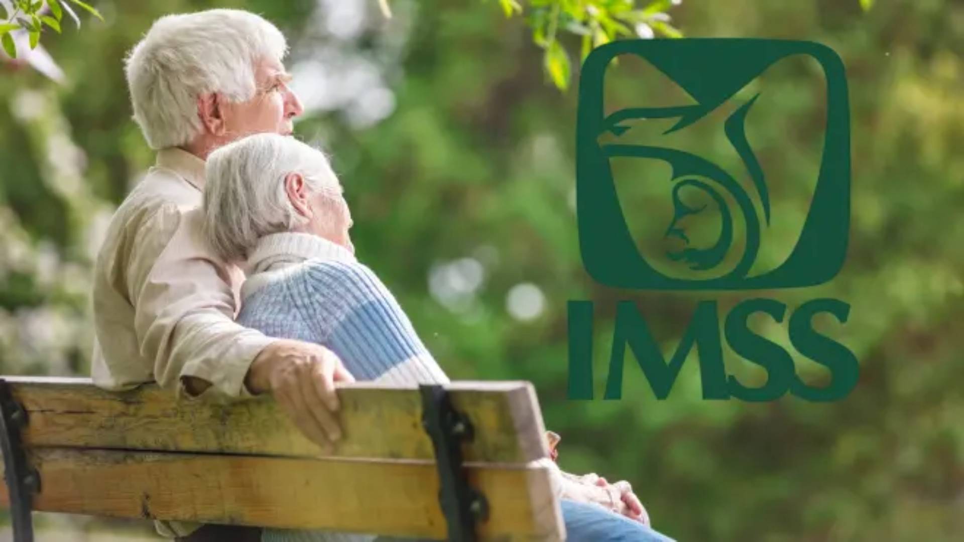 IMSS. / ESPECIAL