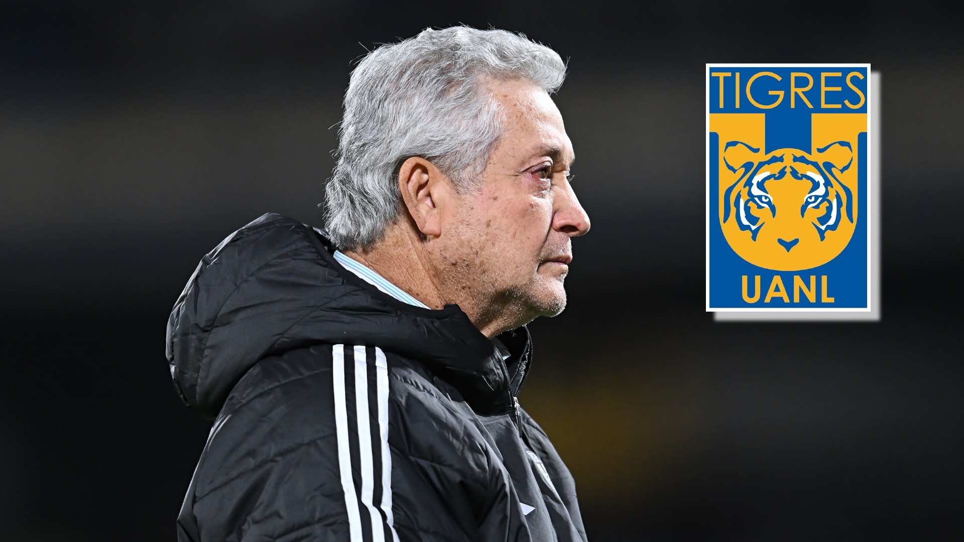 Manuel Vucetich asegura que Tigres "está reviviendo su esencia"