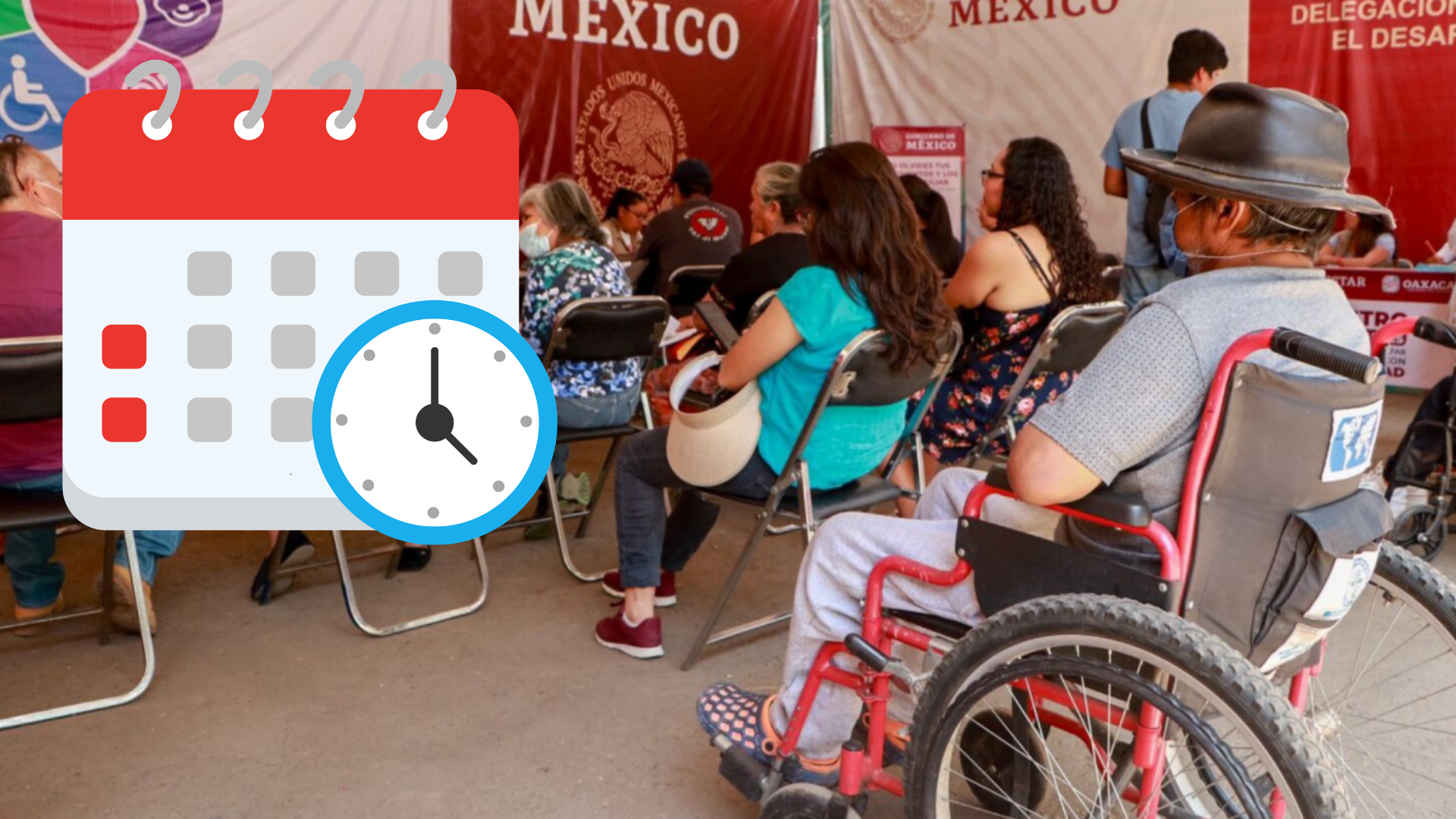 Este es el calendario de la Pensión para Personas con Discapacidad. / ESPECIAL